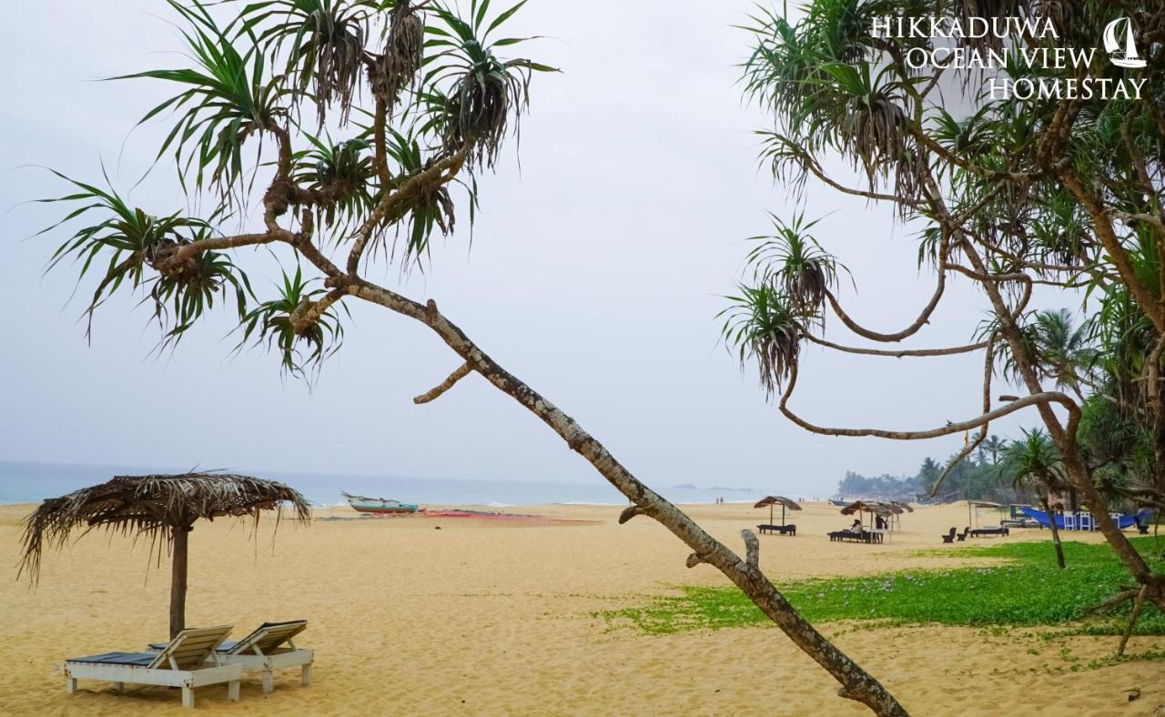 Hikkaduwa Ocean View Homestay 외부 사진